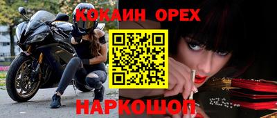 бошки Гусев