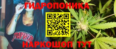 бошки Гусев