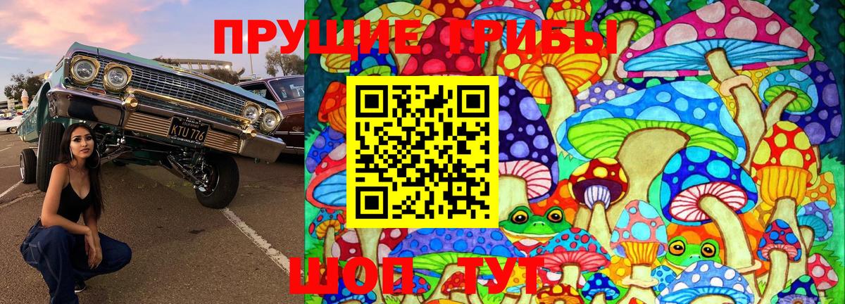 Галлюциногенные грибы Psilocybe Новоуральск