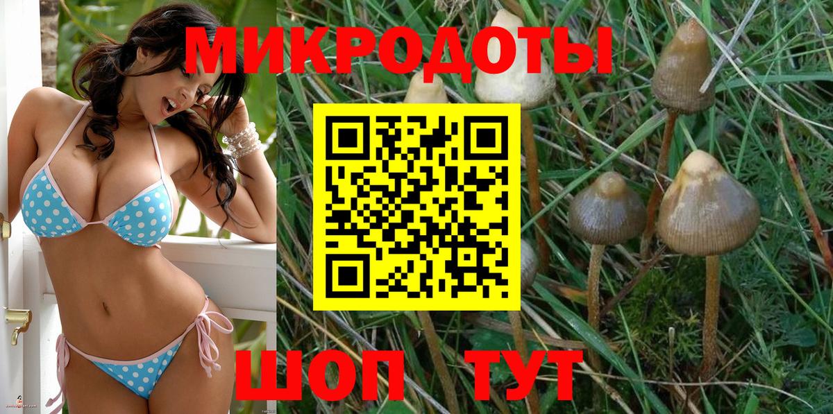 Новоуральск  Галлюциногенные грибы Cubensis  Вход с VPN 